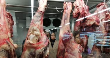أسعار اللحوم فى الأسواق اليوم الأربعاء 17 يناير 2024