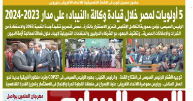 اليوم السابع: حضور مصرى قوى فى القمة التنسيقية للاتحاد الأفريقى بنيروبى "التفاصيل"