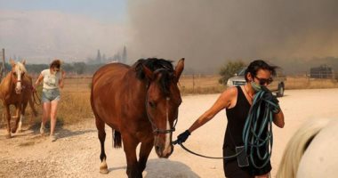 فرار المواطنين وإنقاذ الحيوانات..حرائق الغابات فى أثينا 