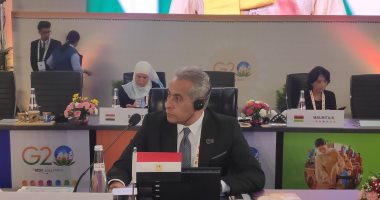 وزير العمل أمام "مجموعة العشرين" بالهند: مصر لم تقف مكتوفة الأيدى أمام التحديات العالمية