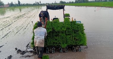 زراعة الأرز بآلة حديثة تزيد إنتاجية المحصول 20% لأول مرة فى الشرقية.. فيديو