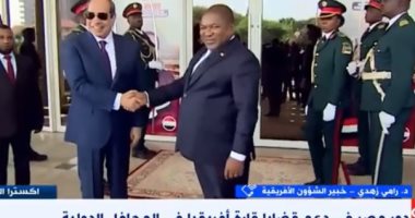 خبير لـ إكسترا نيوز: مصر تقدم الدعم الدائم للدول الأفريقية ومساندتها بالمحافل الدولية