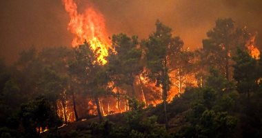 مطالبات بإجلاء 400 شخص من سكان شمال اليابان بسبب امتداد حريق الغابات