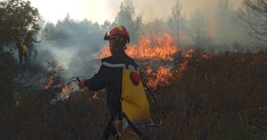 الجزائر تعلن إخماد جميع حرائق الغابات فى البلاد