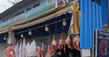 منافذ وزارة الزراعة تحارب الغلاء.. توفير اللحوم بأسعار وكميات مناسبة لاتزان السوق