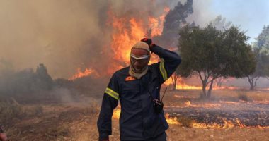 السيطرة على حريق نشب فى غابة بمنطقة البلدة الحدودية بتونس 