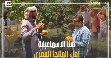 حلقة خاصة من "صندوق محسوب" عن موسم حصاد المانجو بالإسماعيلية.. فيديو