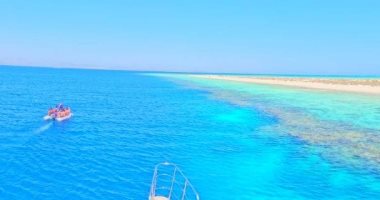 "سيال" جزيرة النقاء.. تمتع بمشاهدة الشعاب المرجانية بأهم مواقع الغوص بالبحر الأحمر
