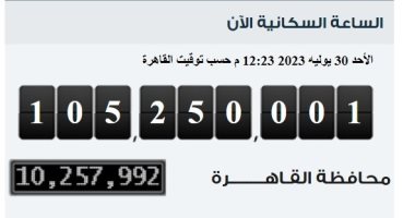 الإحصاء: مصر تسجل ربع مليون نسمة زيادة فى عدد سكانها خلال 57 يوما فقط