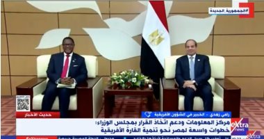 خبير لـ إكسترا نيوز: مصر بذلت جهودًا سياسية واقتصادية مع أفريقيا