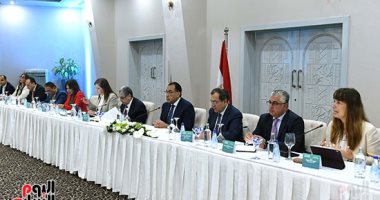 وزراء الكهرباء والبترول والتخطيط يستعرضون خطط إنتاج الهيدروجين الأخضر فى مصر
