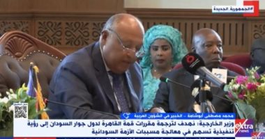 خبير لـ إكسترا نيوز: مصر تجتهد عبر مسارات متعددة لحل الأزمة السودانية 