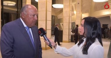 وزير الخارجية للقاهرة الإخبارية: ندعم وجود نقاش بين وزراء دول جوار السودان
