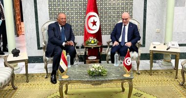 شكرى يؤكد دعم مصر لجهود قيس سعيد الرامية لبناء مستقبل أفضل للشعب التونسى 