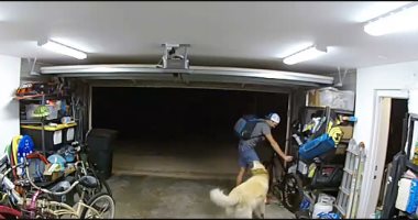 صاحب الحرامى.. لص بأمريكا يلعب مع كلب عائلة أثناء سرقتهم.. فيديو