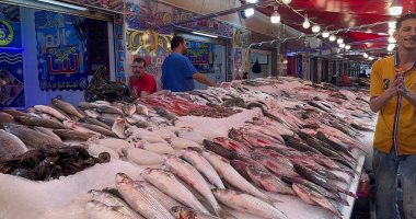 أسعار الأسماك اليوم فى الأسواق.. البلطى 53 جنيها