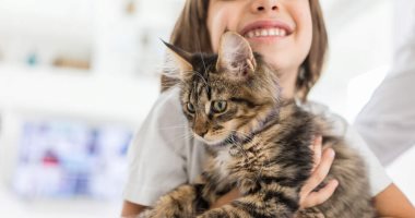  اليوم العالمى للقطط.. 5 نصائح تجعل قطتك سعيدة وتشعر بالأمان