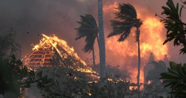 البحرين تعرب عن تعاطفها مع الولايات المتحدة جراء حرائق الغابات فى هاواى