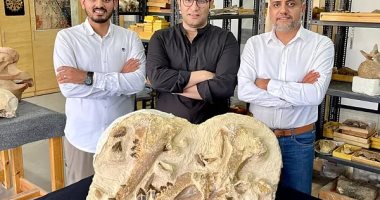 العالم يحتفى باكتشاف مصر لحفرية أصغر وأقدم حوت عمره 41 مليون سنة (فيديو)