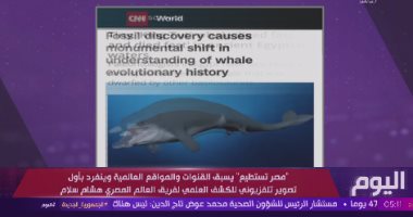 "اليوم": الإعلام العالمى تحدث عن انفراد "مصر تستطيع" باكتشاف حفرية الحوت توت سيتس
