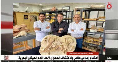 عالم حفريات لـ"القاهرة الإخبارية": حوت "توت سيتس" أحد أقدم الحيتان البحرية
