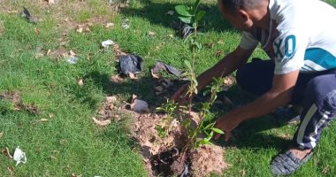 محافظ الإسكندرية: زراعة نحو 213 ألف شجرة مثمرة وغير مثمرة بأحياء المحافظة