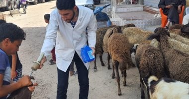 فحص وعلاج 116 حيوانا و1123 طائرا فى قافلة بيطرية بقرية كفر الصارم بالغربية