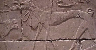 جدارية داخل مقبرة أنتيف الثانى تظهر أقدم سلالات الكلاب.. شاهد شكلها