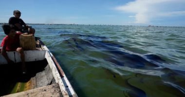 انسكابات نفطية ونفايات سامة.. تلوث بحيرة ماراكايبو يصيب فنزويلا بالقلق