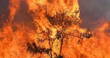 اليونان تجلى المزيد من القرى عقب اندلاع حريق غابات جديد