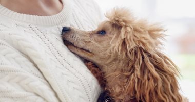 يوم الكلب.. كيف تؤثر تربية الكلاب على صفاتك ونفسيتك؟