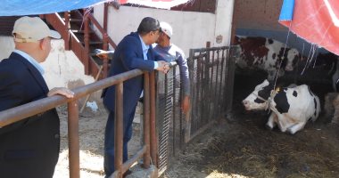 البيئة تتابع مشروع التخلص الآمن من المخلفات الحيوانية والزراعية فى بورسعيد