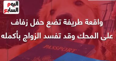 شكله مش موافق على الجوازة.. كلب يمزق جواز سفر صاحبه "العريس" (فيديو)