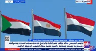 خالد عكاشة: مصر فتحت أبوابها أمام السودان وأقامت جسورا إنسانية لها