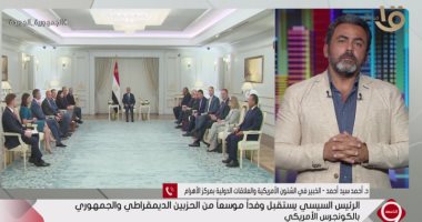 خبير علاقات دولية: الدبلوماسية المصرية والسياسة الخارجية توظف لتعزيز التنمية بالداخل