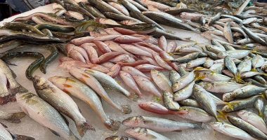 قائمة أسعار الأسماك في الأسواق اليوم الأحد 10 سبتمبر 2023