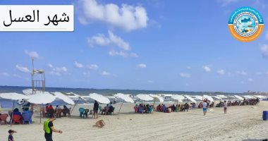 رفع الرايات الخضراء على كل شواطئ الإسكندرية 