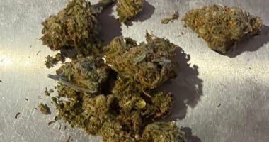 جمارك مطار الغردقة تضبط محاولة تهريب كمية من نبات الماريجوانا المخدر