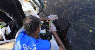 "الشباب والرياضة" و"البيئة" ينظمان مبادرة تطوعية للحفاظ على النيل بأسوان.. صور