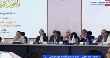 طلعت عبد القوى: المرحلة الثانية من الحوار الوطنى لاستكمال خارطة الطريق وإنهاء الجلسات العامة