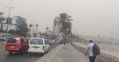 طقس الإسكندرية اليوم.. انخفاض طفيف فى درجات الحرارة والعظمى تسجل 31 درجة