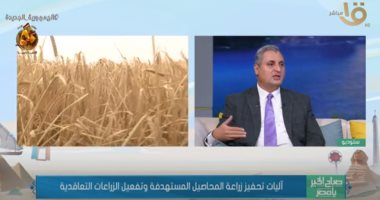 الزراعة: وفرنا 100% من احتياجات المزارعين من تقاوى القمح هذا العام