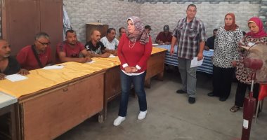 محافظ الإسكندرية يشدد على استمرار تفعيل مبادرة دواوين حكومية بلا أمية