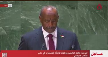 البرهان: لن نسمح بانتهاك سيادة السودان مهما كانت التكلفة