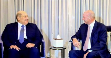 رئيس مجلس الشيوخ لنظيره الأردني: علاقاتنا تاريخية وقضايا الأمة أولوية