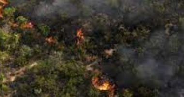حريق ضخم في البرازيل بسبب ارتفاع درجات الحرارة رغم حلول الشتاء على المدينة