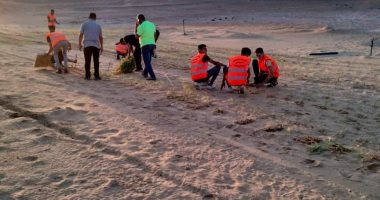 الوادى الجديد تواجه مخاطر زحف الرمال بمبادرة لزراعة الكثبان الرملية.. صور
