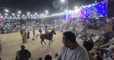فرحة ورقص بالخيول ومزمار بلدي في ليلة المولد النبوي بالأقصر.. صور