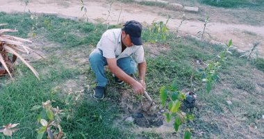 محافظ الإسكندرية يوجه برفع كفاءة الميادين والحدائق ويؤكد زراعة 246 ألف شجرة