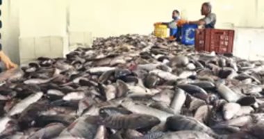 4 مشروعات عملاقة .. جهود الدولة لتحقيق الاكتفاء الذاتى فى إنتاج الأسماك.. فيديو